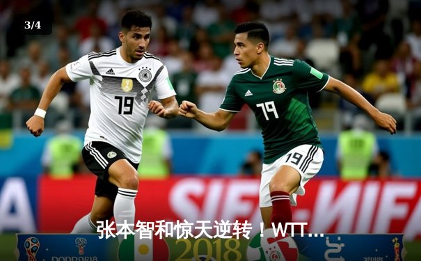 张本智和惊天逆转！WTT新加坡大满贯4-3险胜樊振东晋级男单决赛 - 3